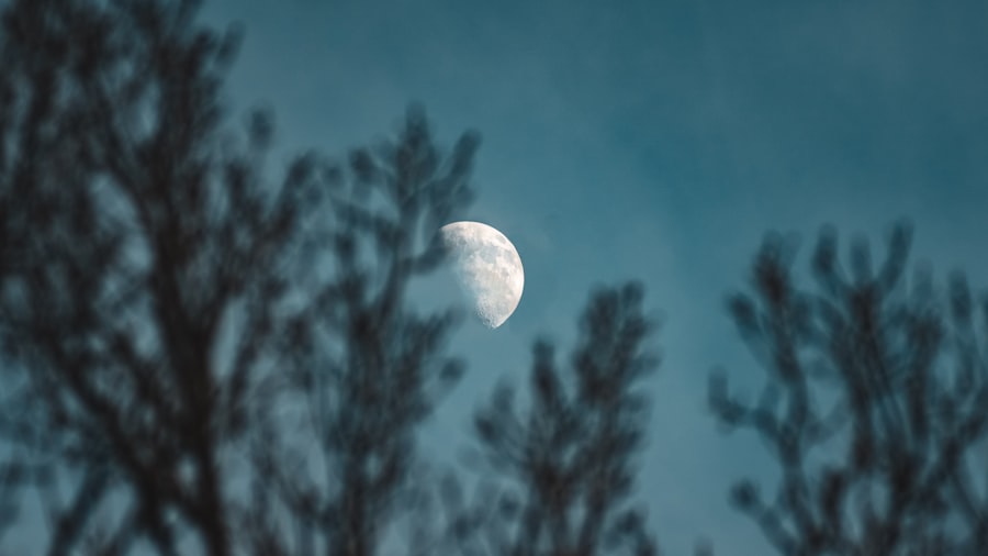 moon watchers documentary