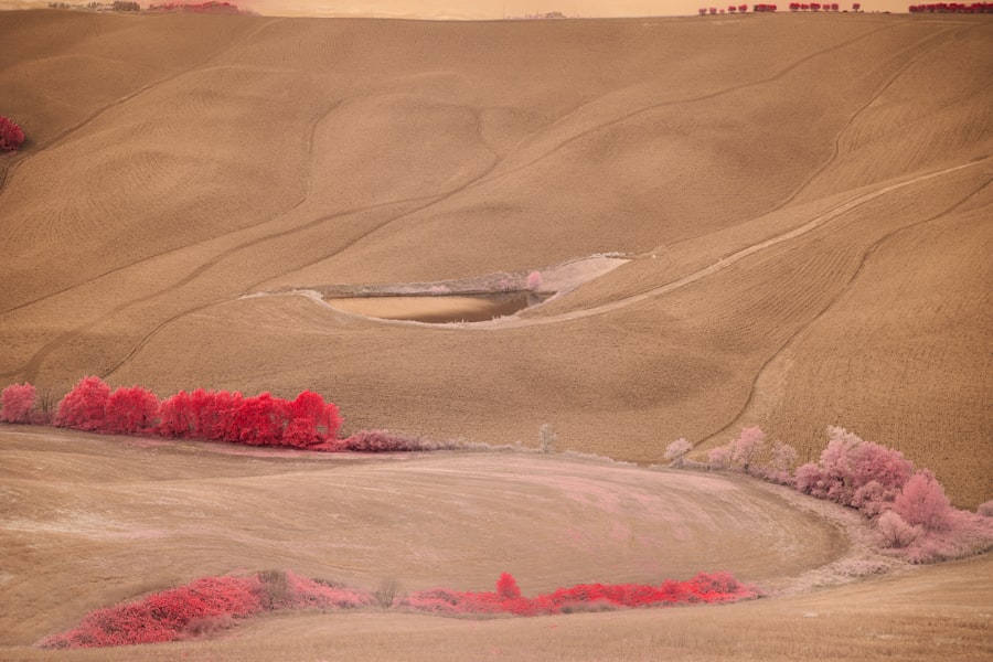 military witness ufo testimony