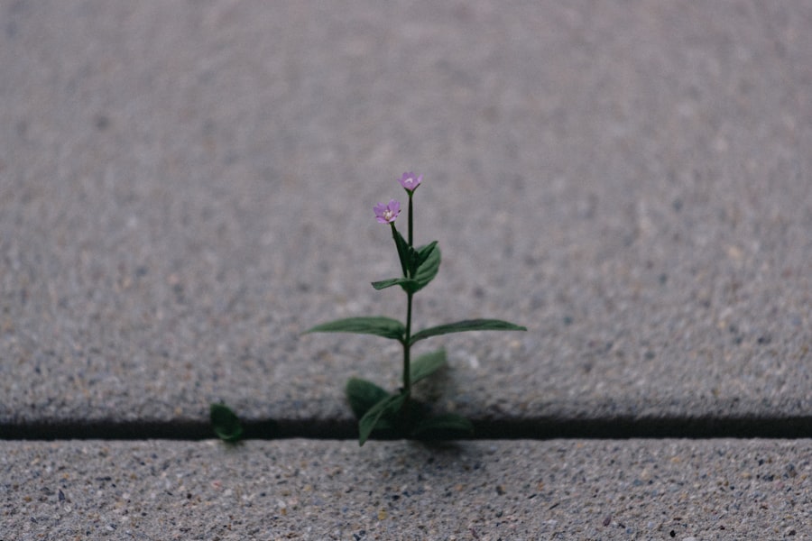 resilience