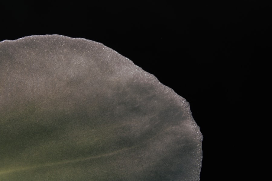 ufo disabled nuclear arsenal