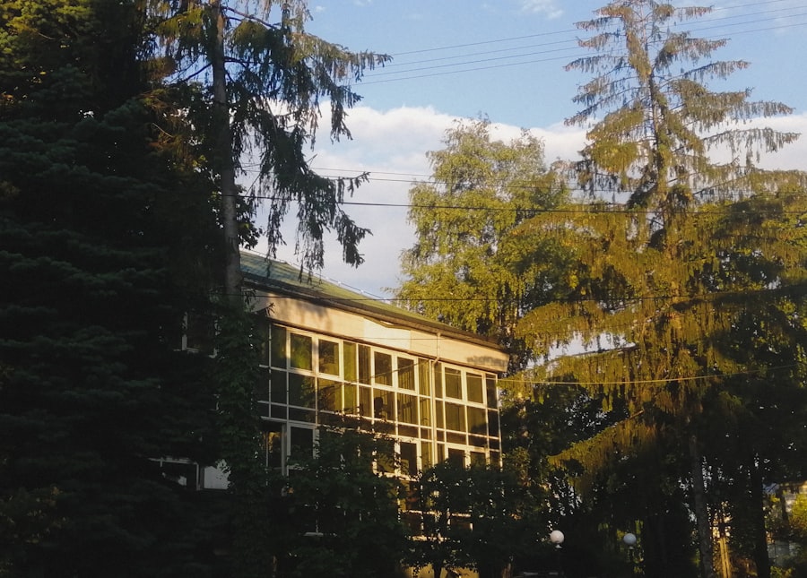 institute of noetic sciences