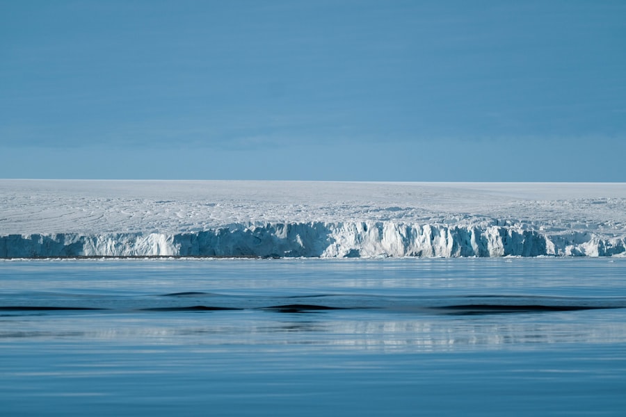 polar echo challenge