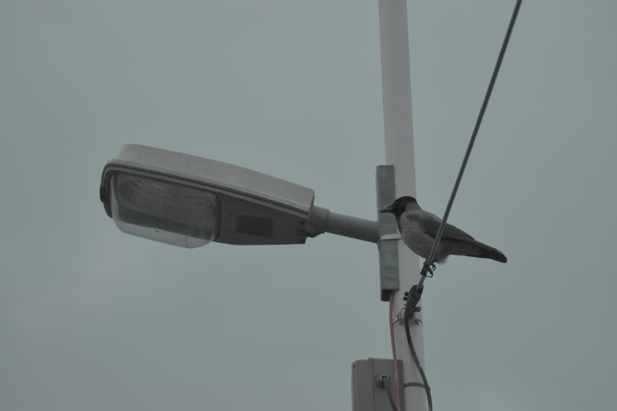 Photo surveillance radar