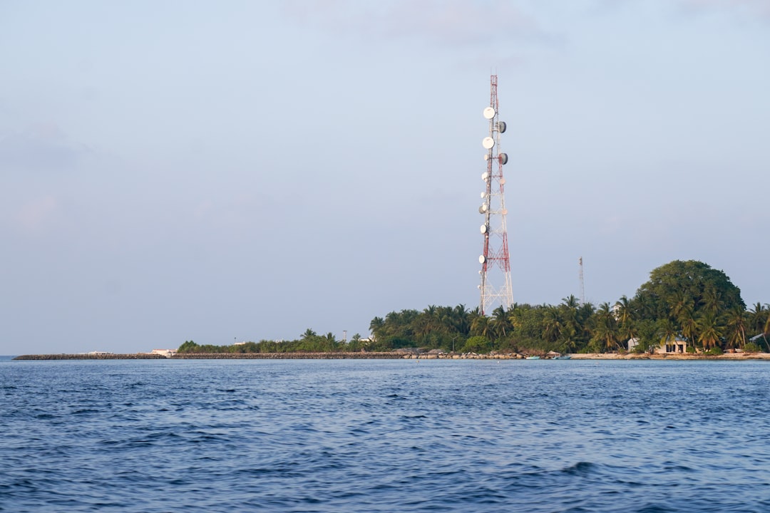 Photo sonar anomaly investigation