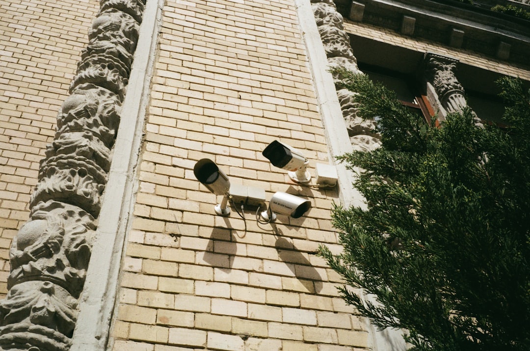 Photo cable corridor surveillance system