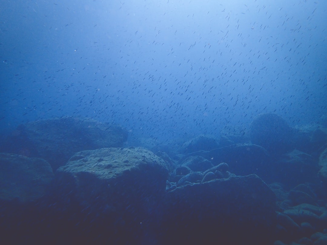 Photo submarine silent zone