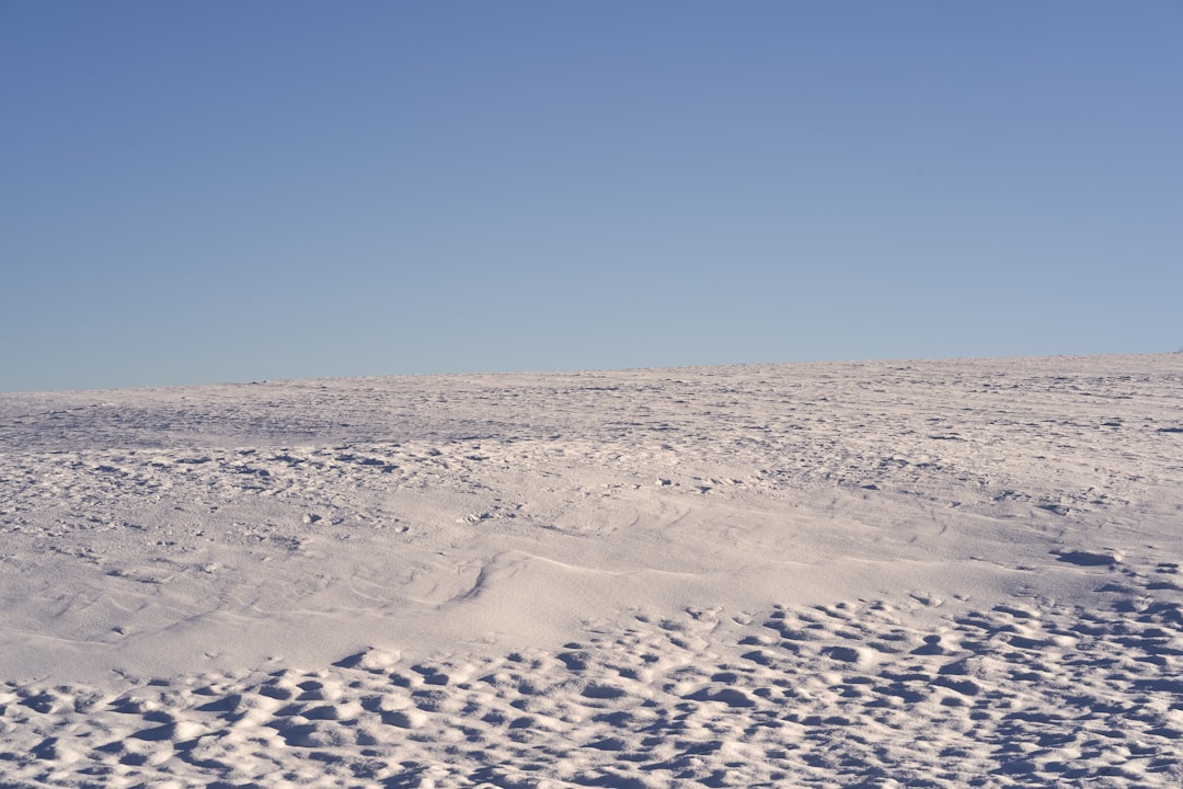 Photo polar echo challenge