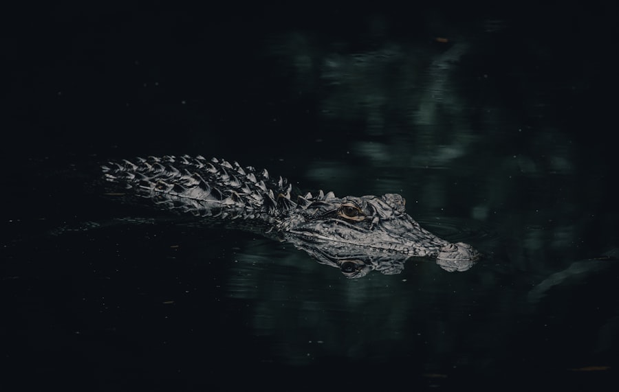 Photo ufo incident analysis breakdown