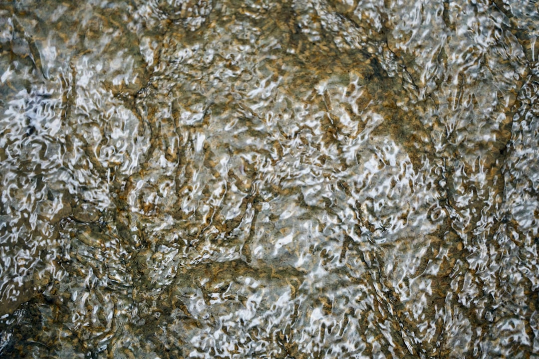 Photo wright patterson metallurgical sample