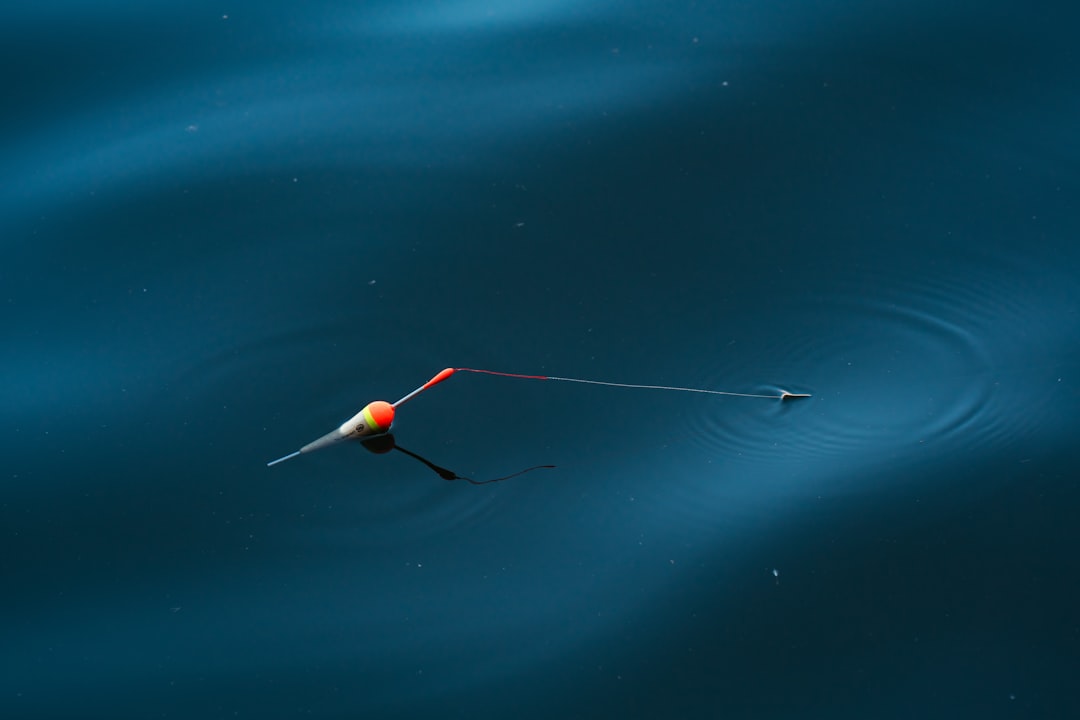 Photo sonar logs UFO encounters