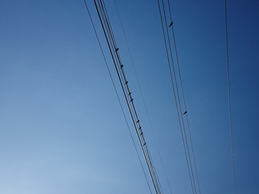 Photo contractor network