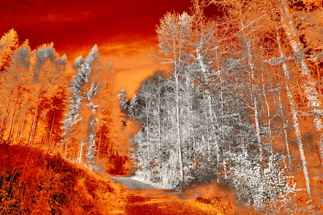 Photo thermal imaging