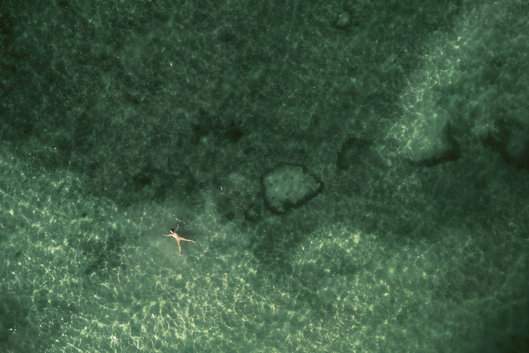 Photo military ufo documentary evidence