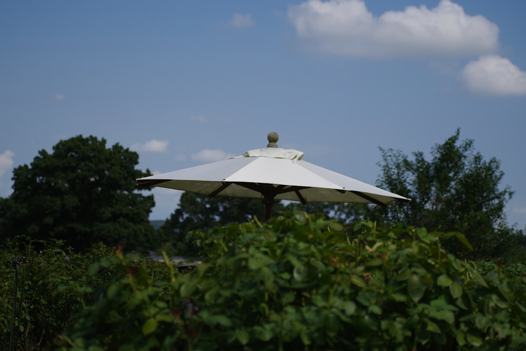 Photo ufo beam weapons facility