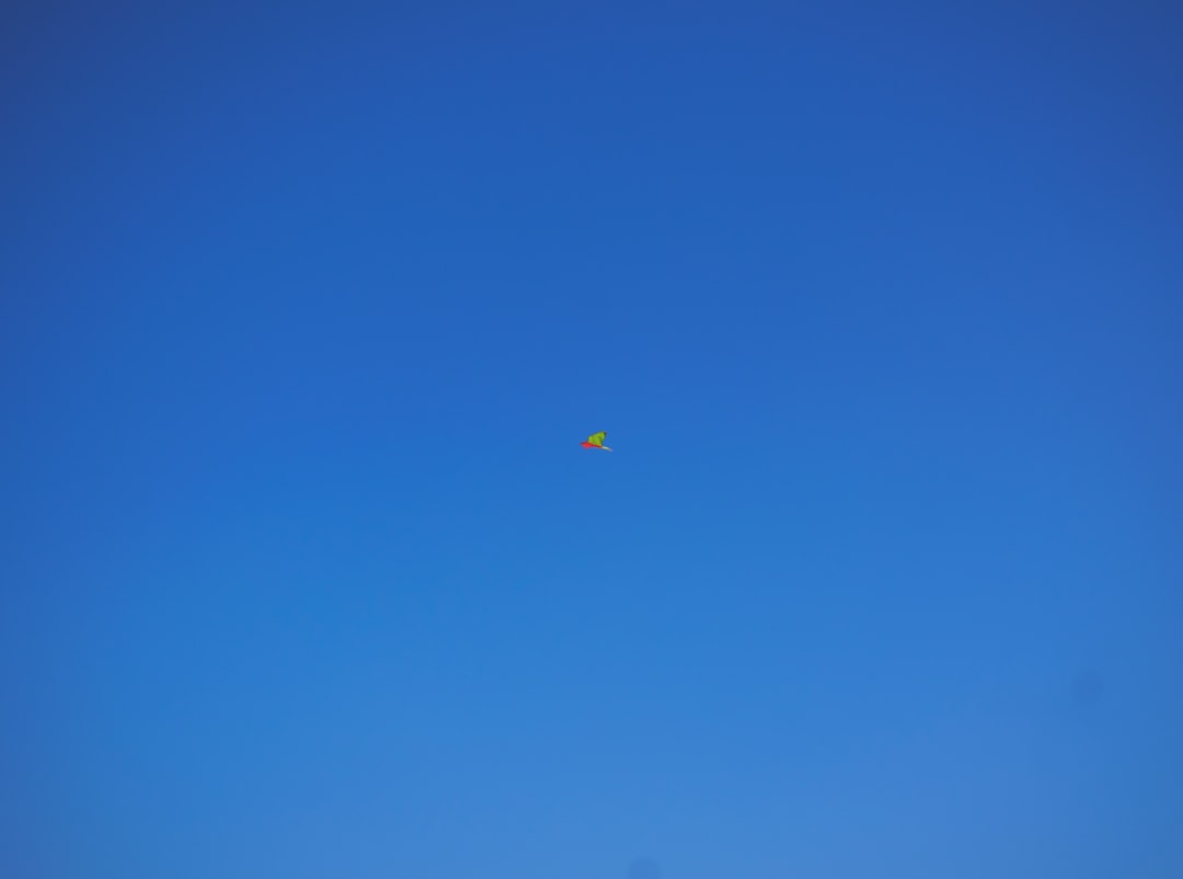 Photo ufo sighting