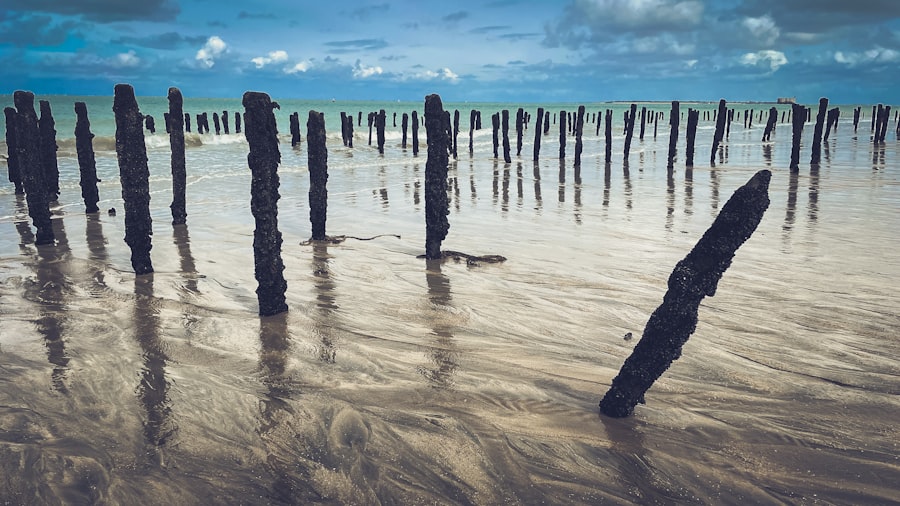Photo coastal posts