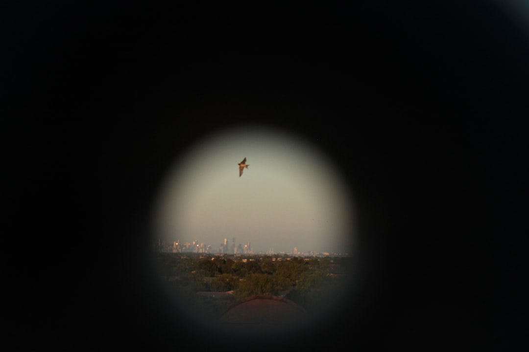 Photo military personnel ufo sighting