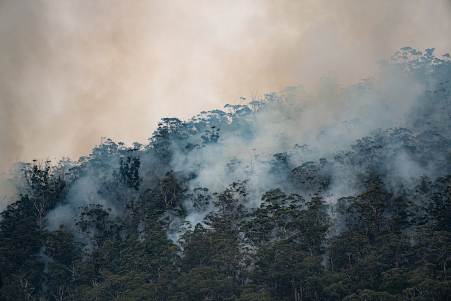 Photo climate change