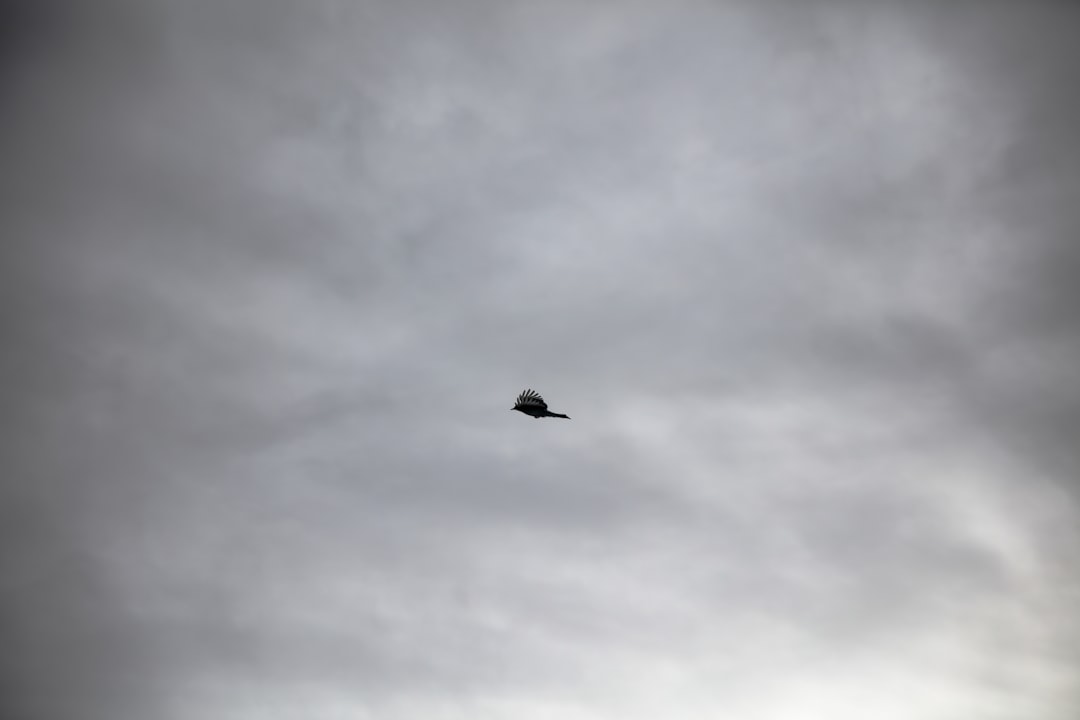 Photo ufo penetrated military base