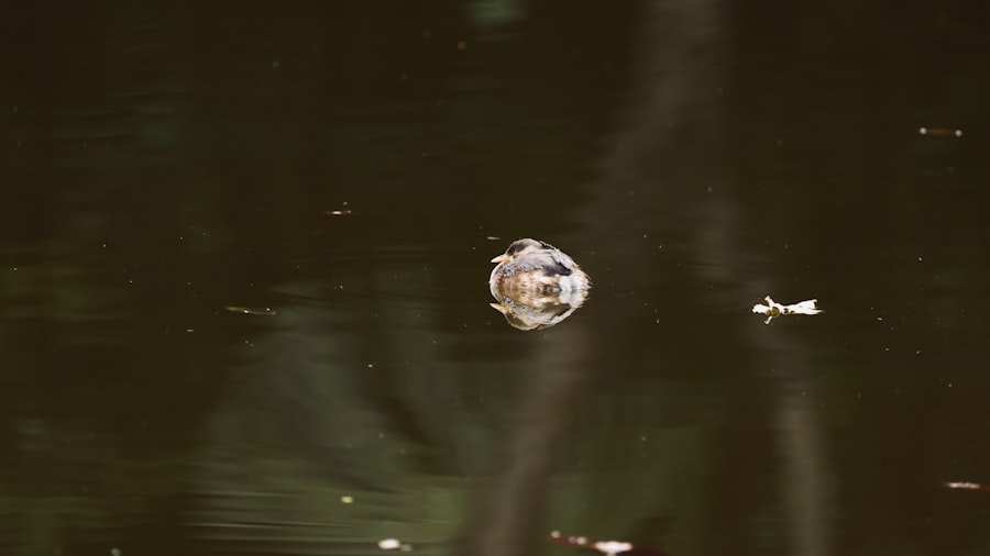 Photo ufo beam targeting soldiers