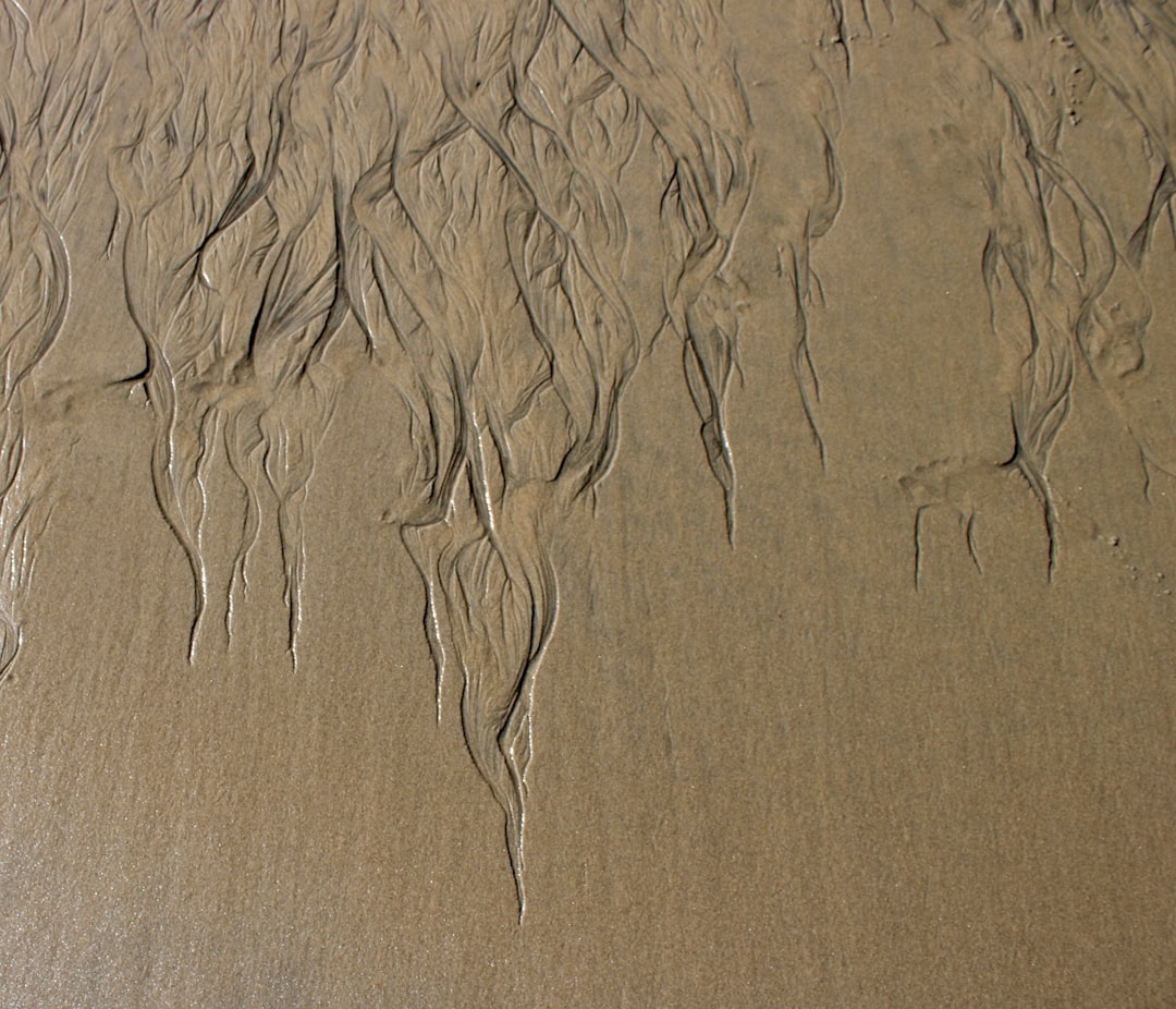 Photo dust alignment