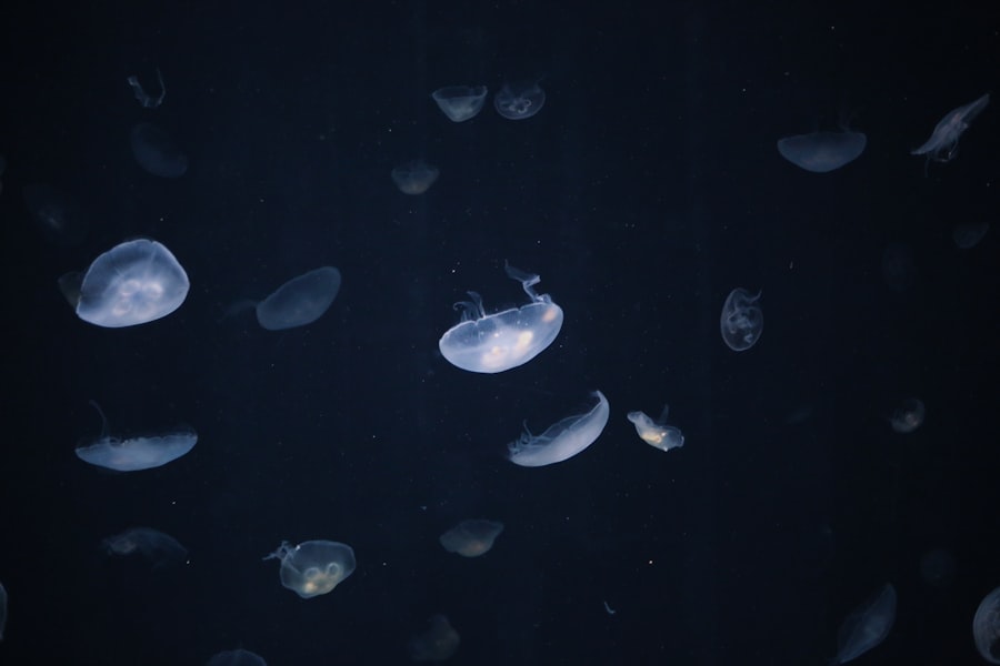underwater UFO sightings Navy
