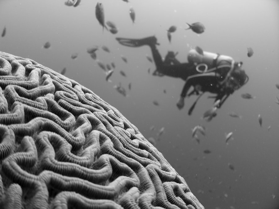 memory neuroscience