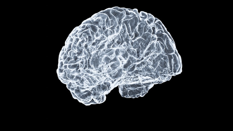 transient epileptic amnesia symptoms