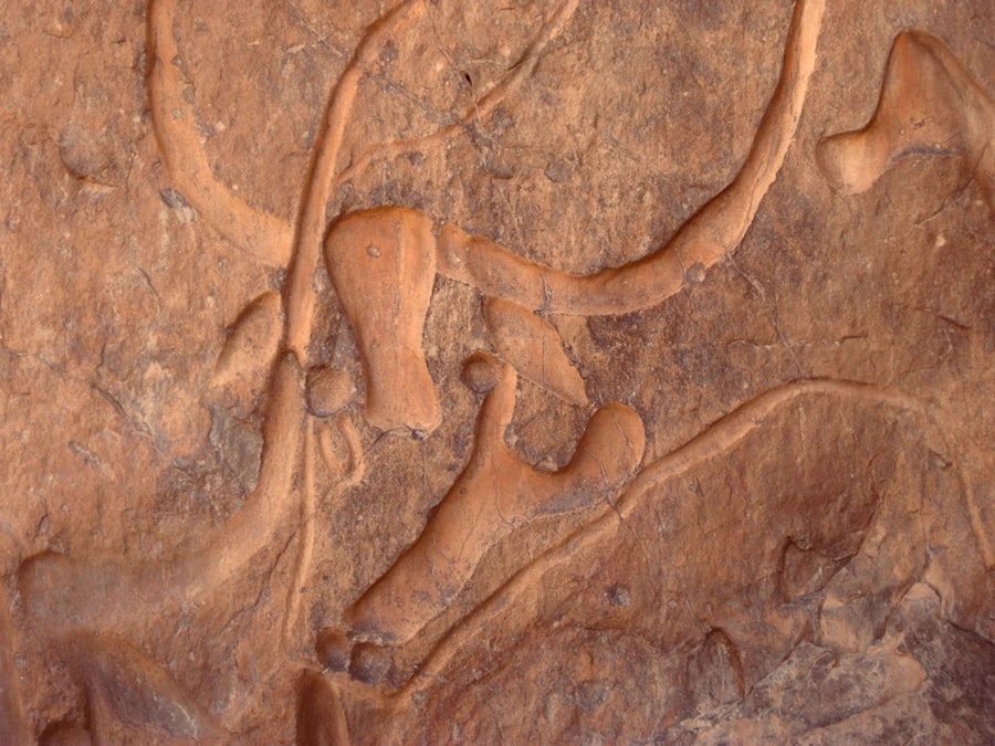 archaeology