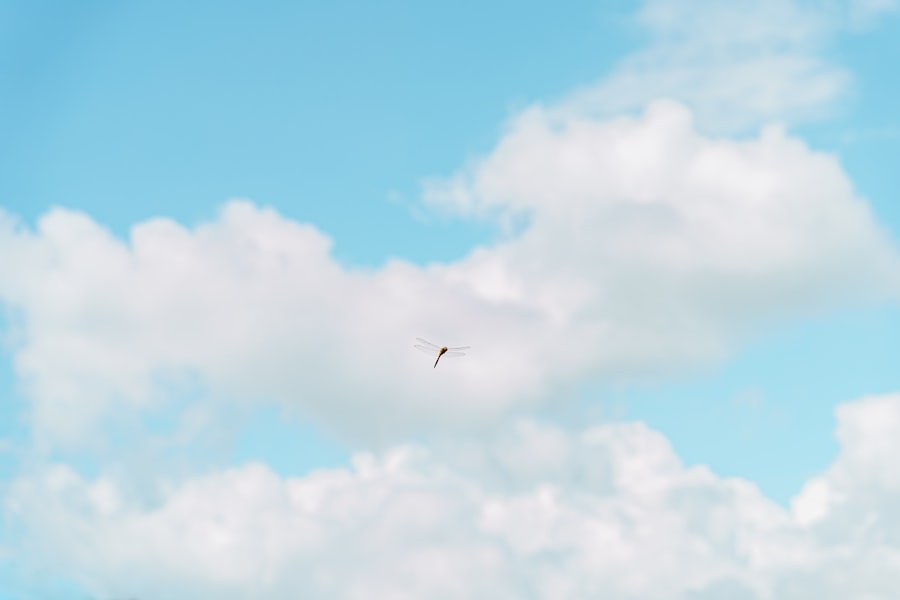 unidentified flying objects conspiracy