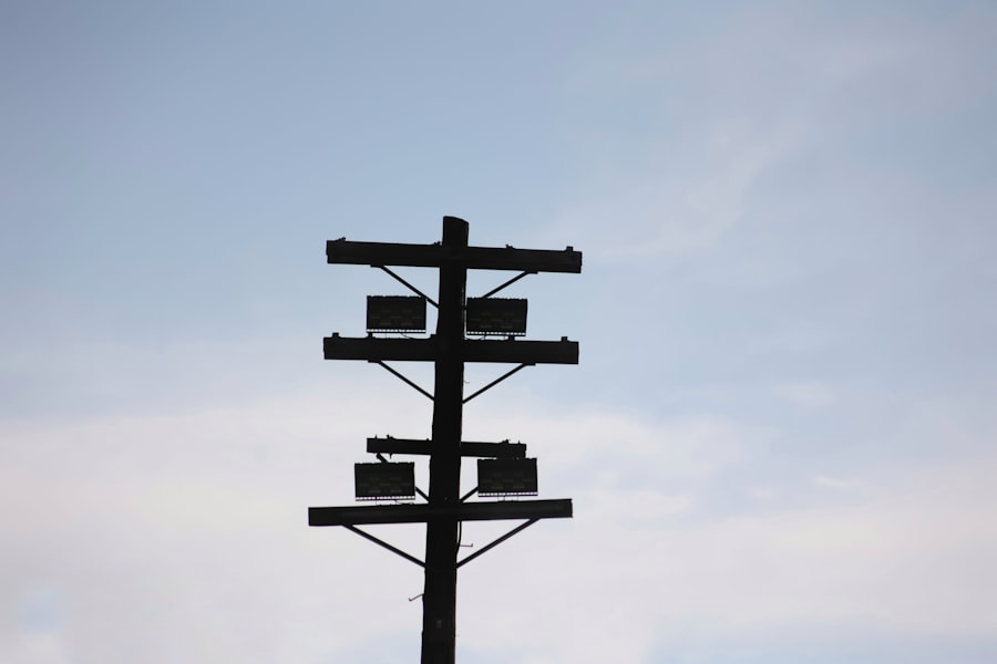 pole shift survival guide