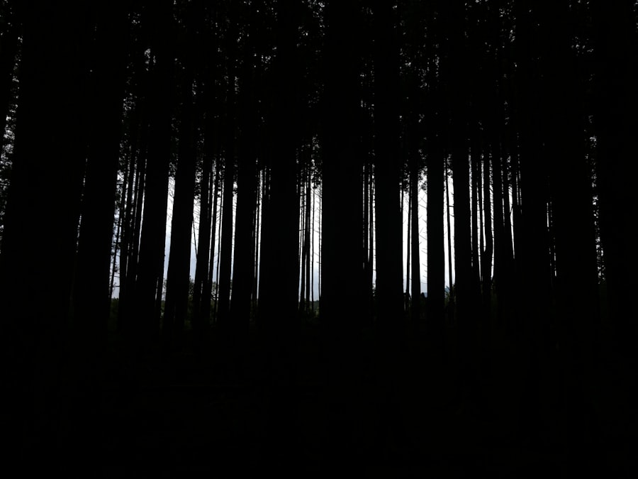 Dark Forest Theory