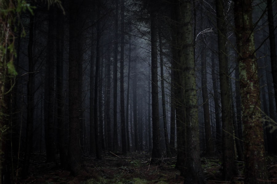 Dark Forest Theory