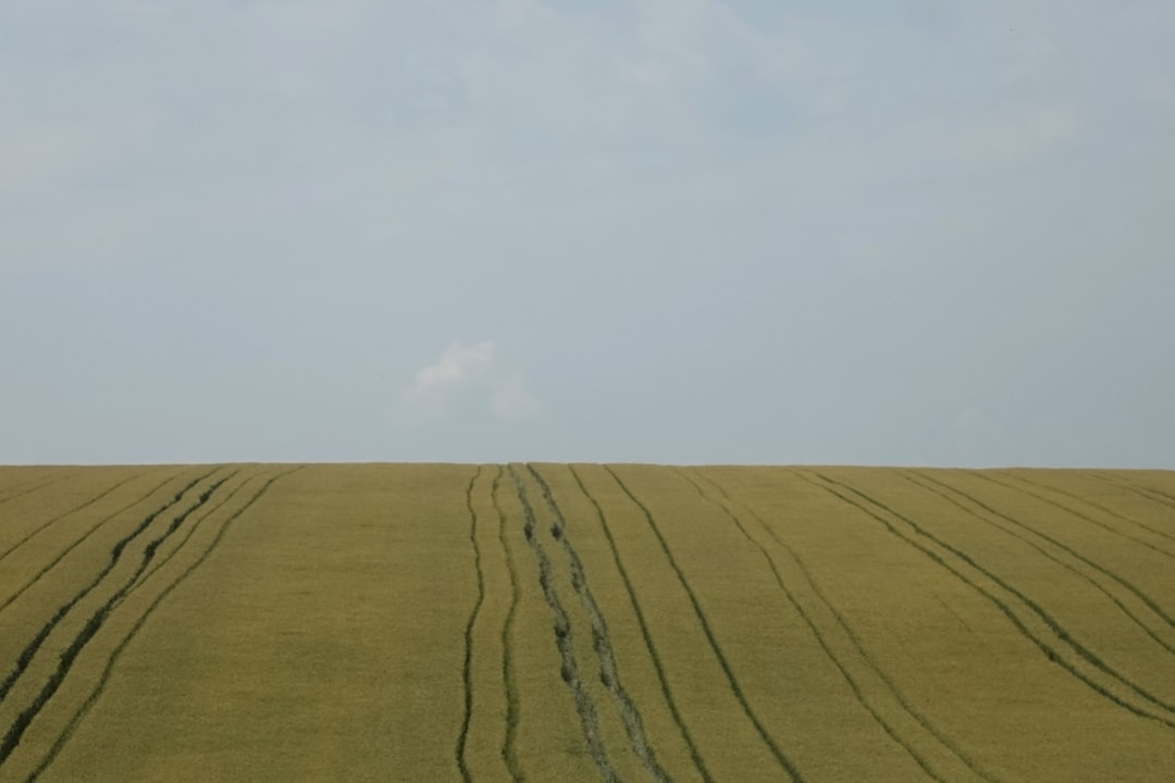 Photo damping fields