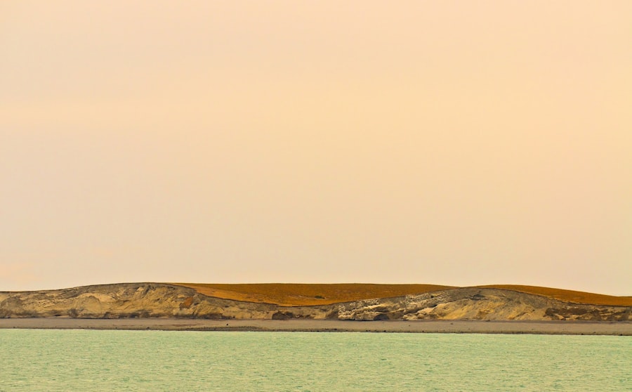 Photo remote viewing