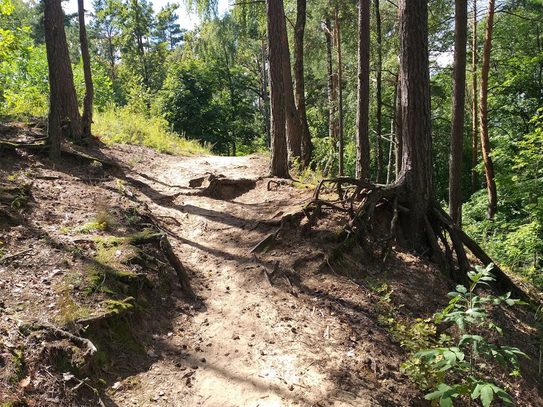 Photo maintenance paths