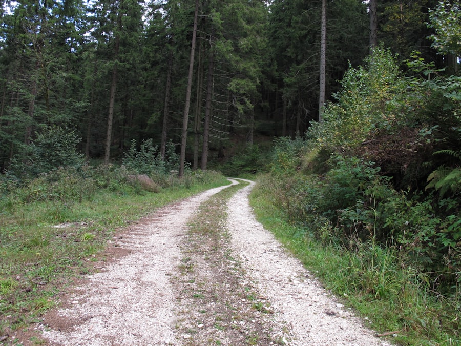 Photo maintenance paths