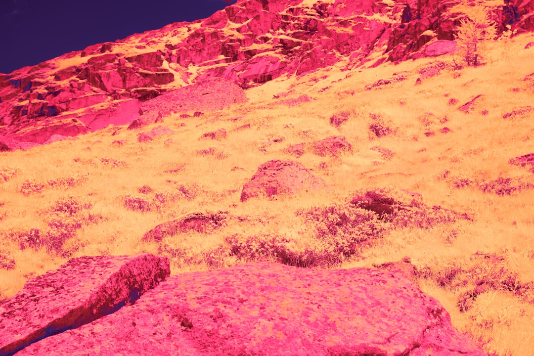 Photo infrared