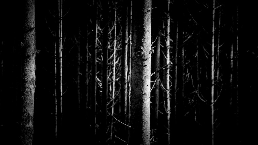 Photo Dark Forest Theory
