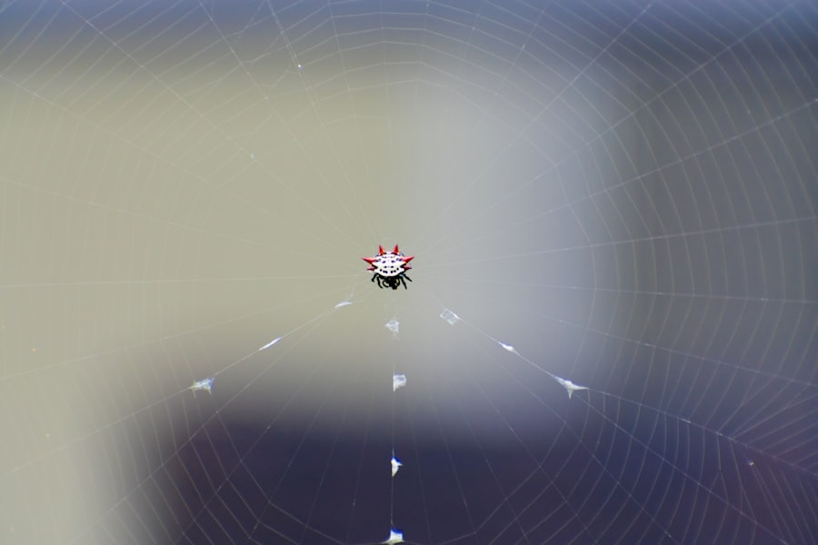 Photo orbital anomaly tracking