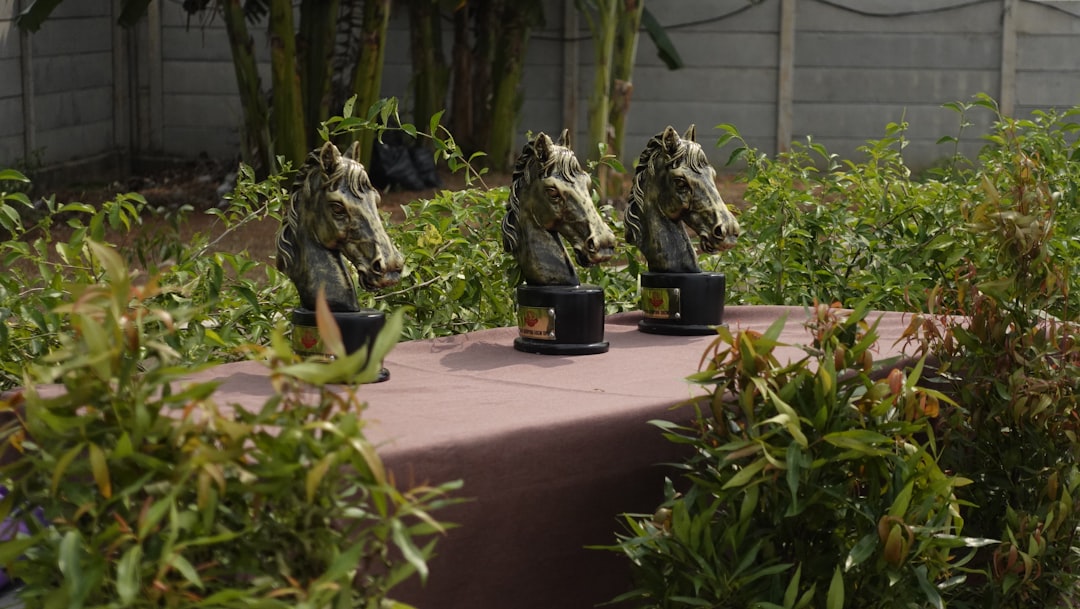 Photo military exercises civilian uap footage