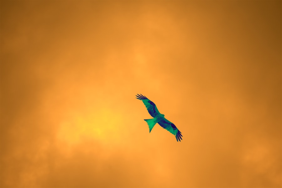 Photo uap sightings aerospace correlations