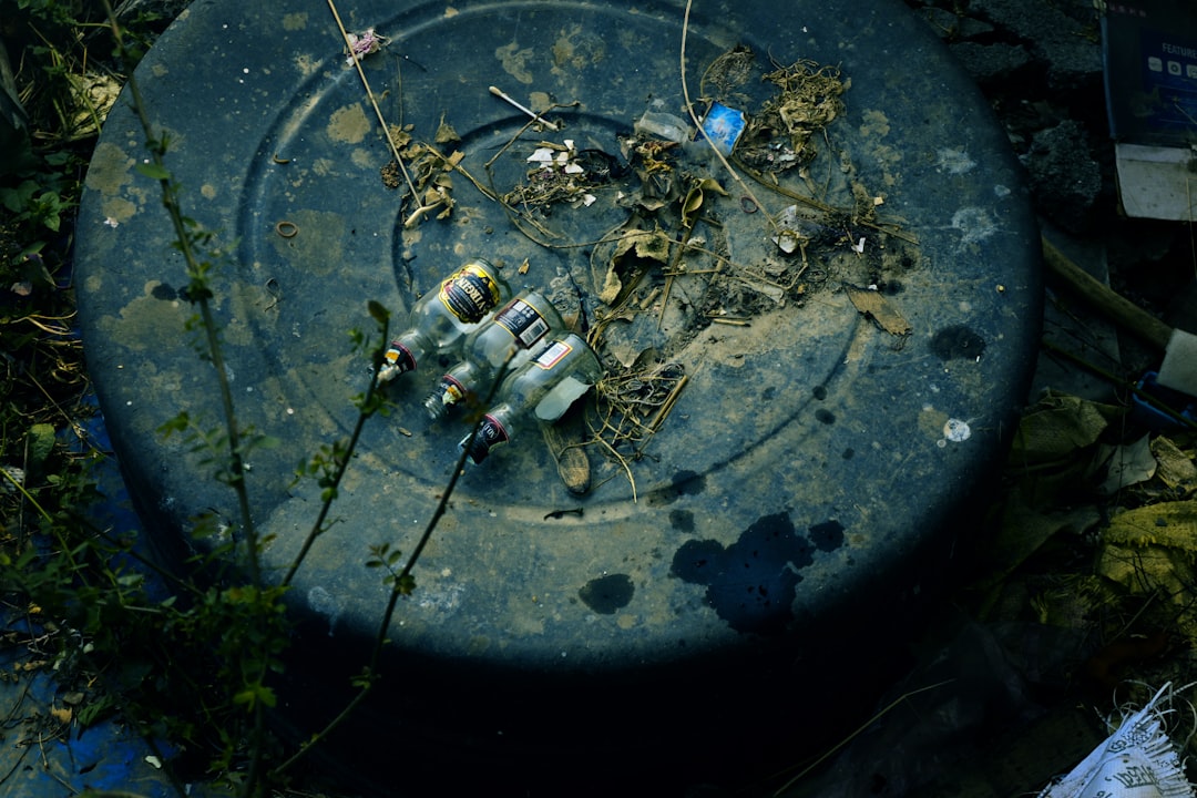 Photo unidentified submerged objects