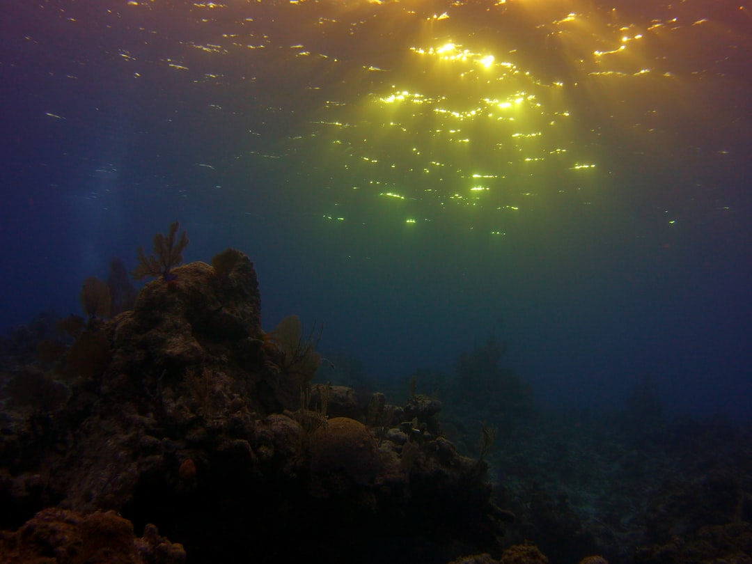 Photo underwater displacement