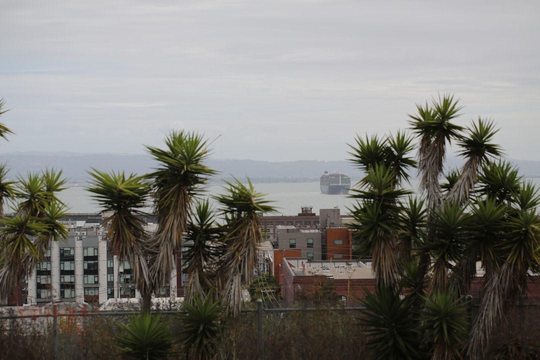 Photo ocean management