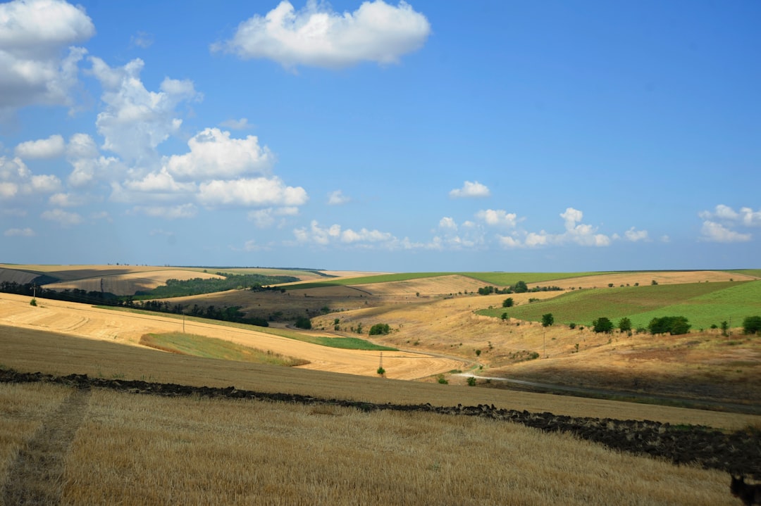 Photo silent patches