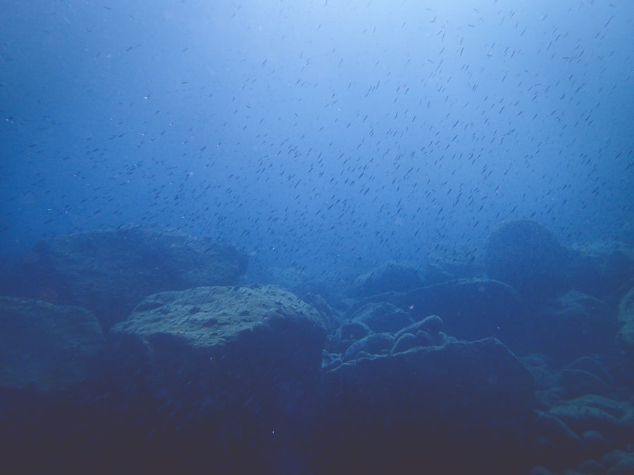 Photo ocean base structures