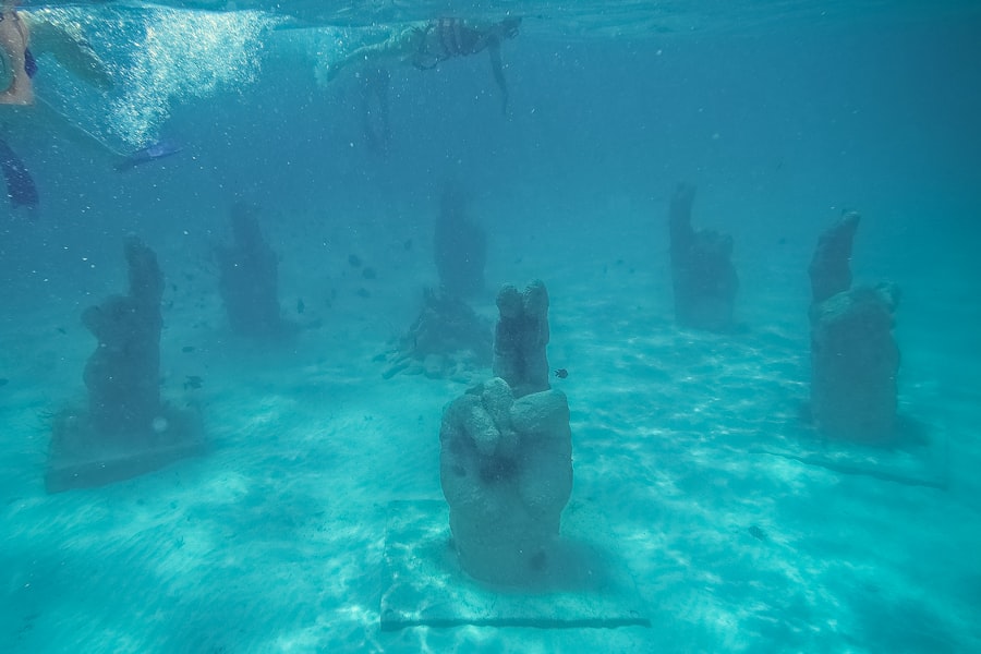 Photo underwater objects
