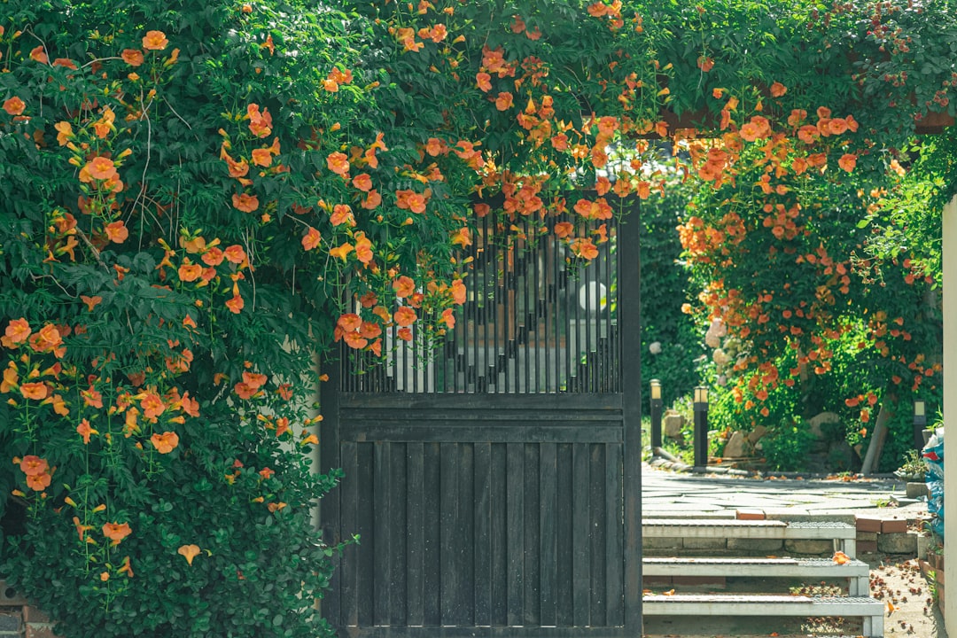 Photo pinch gates