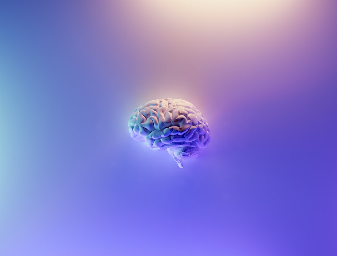 Photo memory neuroscience